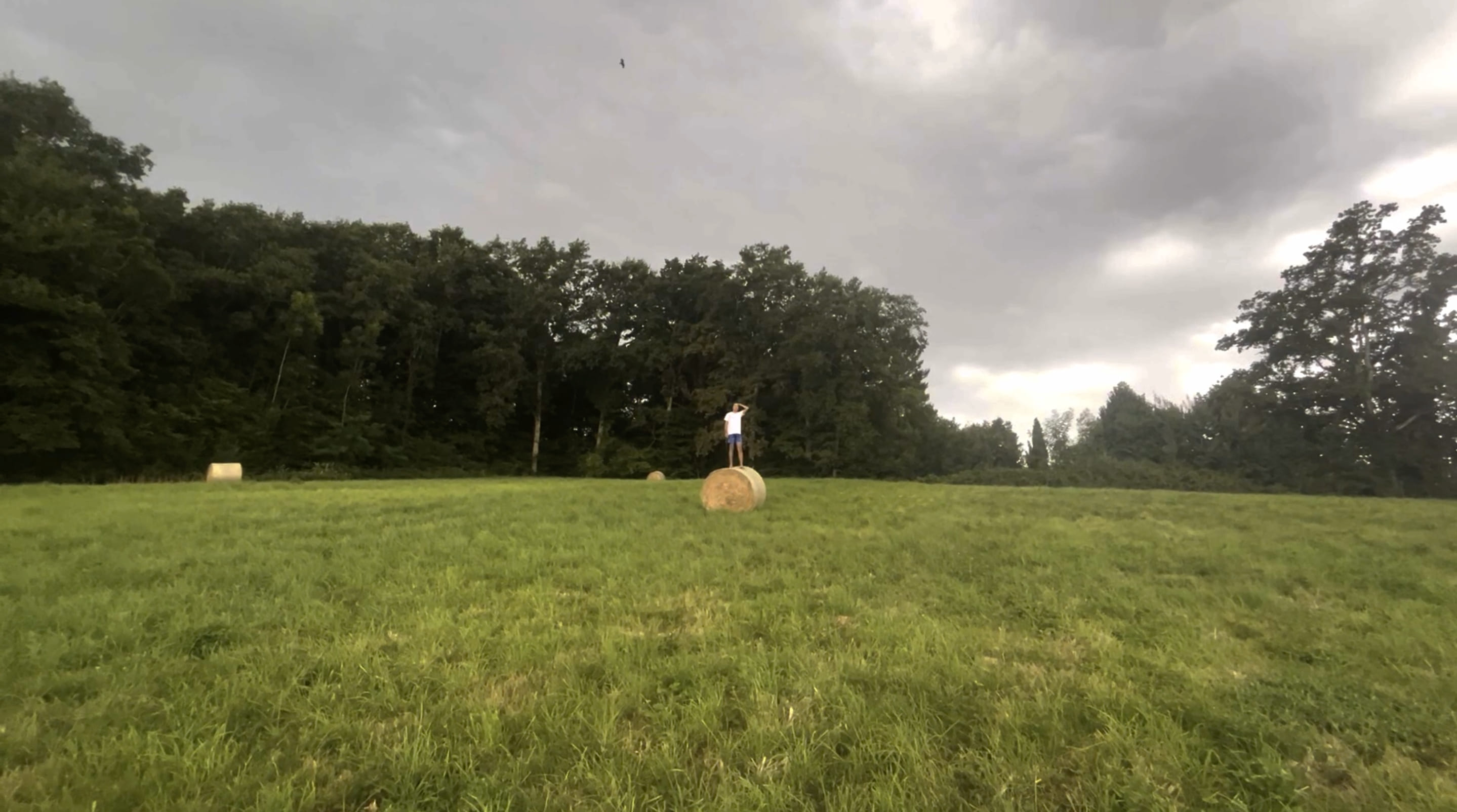 3e photographie de Psychical Pearls où on voit un homme avec un t-shirt blanc et un short bleu qui se trouve dans un champ sur une botte de foin. Derrière lui se trouve une forêt ainsi que d'autres bottes de foin.